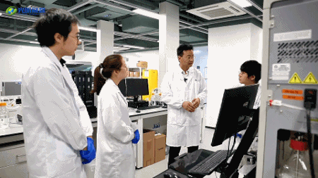 6.gif